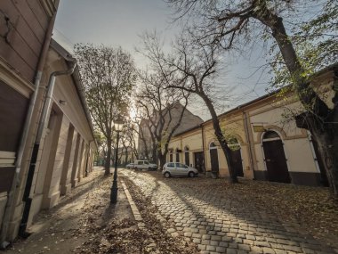 Karanlık çöktüğünde Suboticacenter 'daki sakin kaldırım taşı yolu, eski cephelerle, çıplak ağaçlarla ve Sırbistan' da eski bir sokak lambasıyla dolu. Altın saat ışığı ve düşen yapraklar nostaljik bir sonbahar atmosferi yaratır..