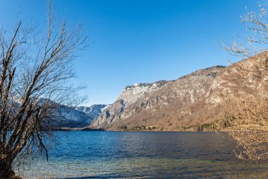 Bohinj Gölü 'nün parlak alp manzarası Julian Alpleri' nin karlı tepeleri Slovenya 'da su üzerinde yükseliyor Bohinjsko jezero kıyılarını vurguluyor ve Triglav Ulusal Parkı' nın korunan manzarası.