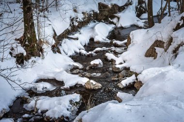 Slovenya Alpleri 'ndeki küçük dağ dereleri karlı bankalar ve kayalar arasında akar. Donmuş kenarlar ve açık dalgalar kış hidrolojisini, alp saflığını ve soğuk vadi vadisinin sakin atmosferini gösteriyor.
