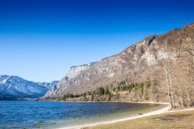 Slovenya 'daki Bohinj Gölü' nün Panorama 'sı ya da Bohinjsko Jezero, berrak su, dar çakıl taşı plajı ve Julian Alpleri' nin dik yamaçlarından yükselen parlak bir kış gökyüzü altında.