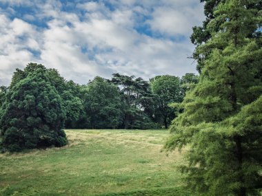 Paris 'te bulutlu bir günde Parc des Buttes-Chaumont' taki yeşil çimenli tepelerin ve olgun ağaçların manzarası. Parc des Buttes Paris 'in merkezinde büyük bir yeşil parktır..