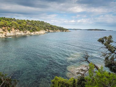 Akdeniz 'in panoramik manzarası Presqu' ile Giens Yarımadası 'nda Fransız Rivierası' ndaki Hyeres 'in kıyı manzarası, çam ağaçları, Fransa' daki kayalık kıyı şeridi, Akdeniz 'in bir sembolü..