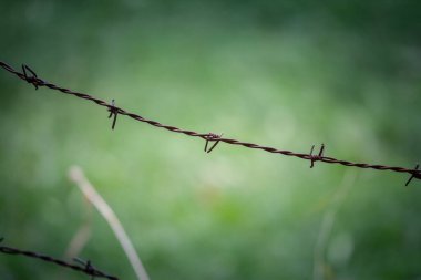 Paslı dikenli tel tel tel tel tel, keskin bir odak ile yeşil bokeh arka plan ve kopyalama alanı. Açık havada bükülmüş metal bariyerlere yakın çekim güvenlik, kısıtlama, ayrılma ve çatışmayı sembolize ediyor.