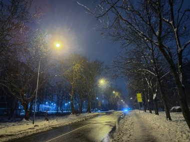 Sırbistan 'ın Banjica kentinde sakin bir cadde geceleri kar ve çıplak ağaçlarla kaplı. Islak asfalt ve taze kar yağışında parlayan sokak lambaları, banliyödeki kış havasını ve sürüş koşullarını gösteriyor