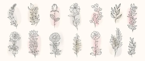 Minimal Botanical Hand Drawing Design Logo Wedding Invitation Floral Line — Stock Vector