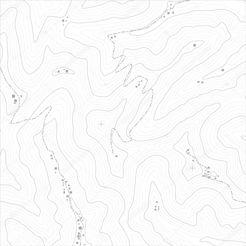 Topographic Map Texture