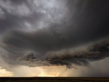 Doğu Colorado 'daki altın saat güneşi tarafından aydınlatılan bir fırtına..