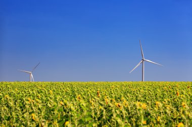 Wind turbine on a background of field and blue sky clipart
