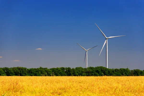 Turbina eólica sobre un fondo de campo y cielo azul — Foto de Stock