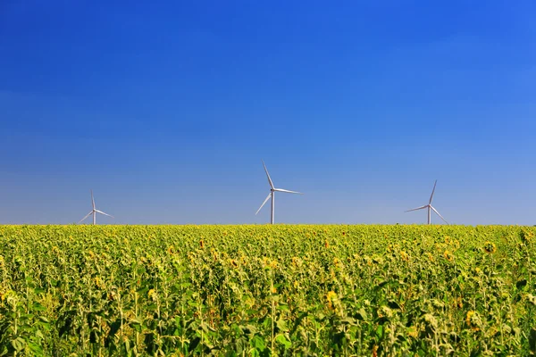 Ветряная турбина на фоне поля и голубого неба — стоковое фото