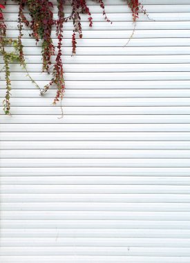 Sonbahar yaprakları olan beyaz panel, yabani üzümler, garaj jaluzileri.