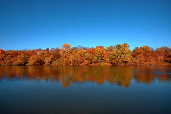 Отражение Красивого Осеннего Леса Реке Фоне Ясного Голубого Неба Облаков — стоковое фото