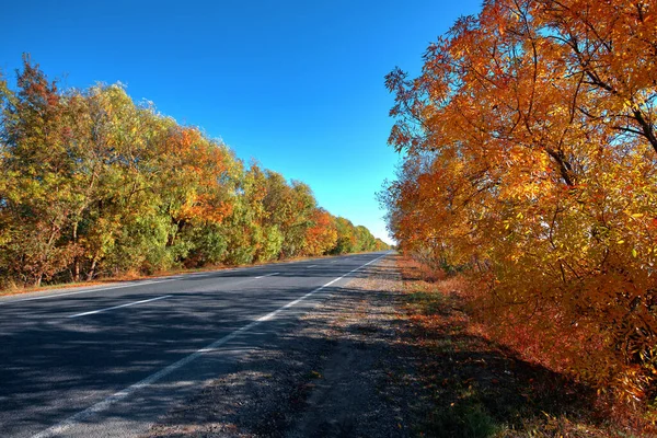 Empty Autumn Road Highway Beautiful Trees Sides Background Clear Blue — Stock Photo, Image