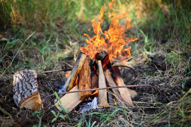 Yakıcı yakacak odun, doğada, barbekü için yer, yaz otlaklarında barbekü.
