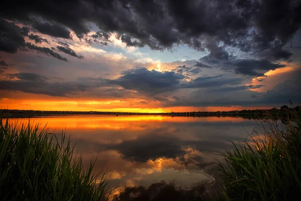 Increíble amanecer junto al lago con coloridas nubes y vegetación en primer plano Fotos de stock libres de derechos