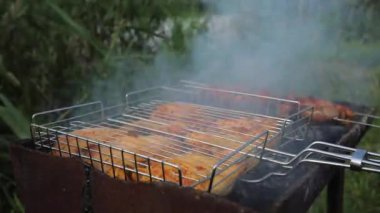 Zaman ayarlı, domuz kebabı ve tel askıda tavuk, açık havada ızgarada ızgara