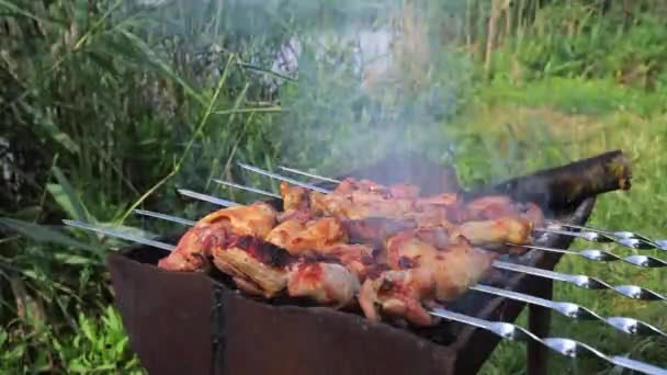 Timelapse, kebab de porco e frango em um rack de arame, grelhado em uma churrasqueira no exterior — Vídeo de Stock
