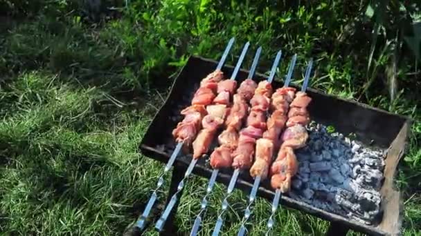 Kebab de porc sur brochettes est frit à l'extérieur sur un barbecue fait maison dans la nature, sur un fond d'herbe verte — Video