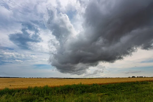 Krásná obloha po bouři, žlutém pšeničném poli a zelené trávě v popředí — Stock fotografie