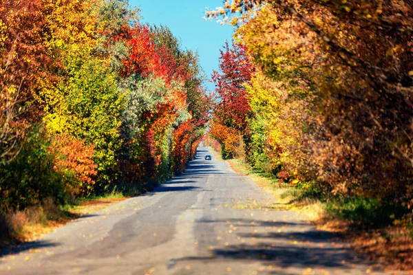 Autumn road going into the distance. Yellow leaves on trees. Shallow depth of field — Stock Photo, Image