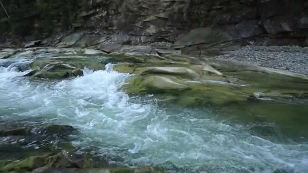 Mountain river close up slow motion — Stock Video