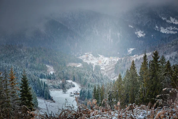 Carpathian Mountains — Stock Photo, Image