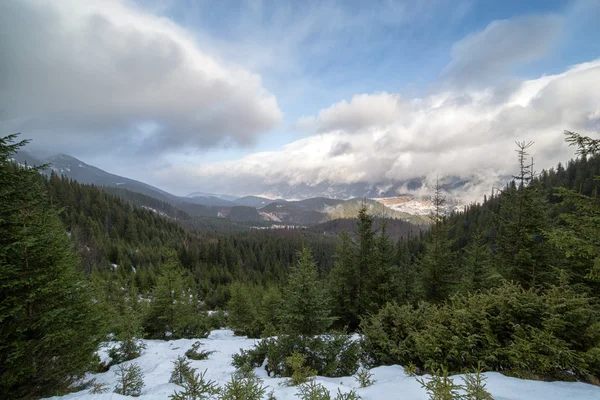 Carpathian Mountains — Stock Photo, Image