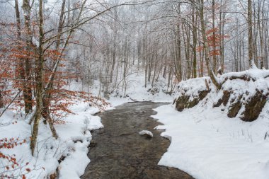 Kış nehir karla kaplı bankalarla