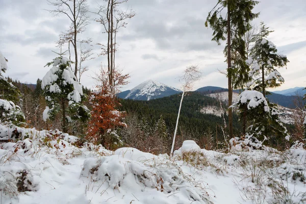 Zimní hory — Stock fotografie