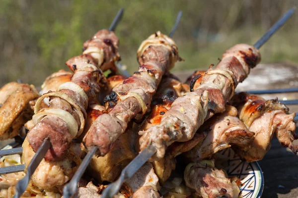 Barbecue op het karakter — Stockfoto