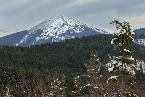 Neve de montanha — Fotografia de Stock