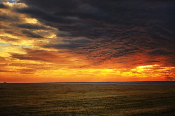 Gyönyörű naplemente a mező felett — Stock Fotó
