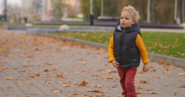 Niños en el parque de la ciudad en el día de otoño, pequeño niño rizado está corriendo sobre el camino cubierto de hojas amarillas secas, feliz fin de semana — Vídeo de stock