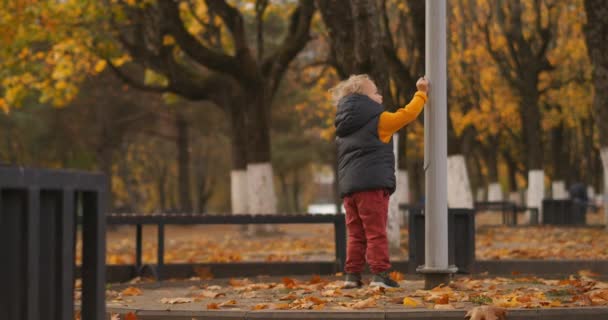 面白い子供の男の子は秋に公園エリアを歩いていて、街灯のポストで遊んでいて、かわいい幼児は世界を探検しています — ストック動画