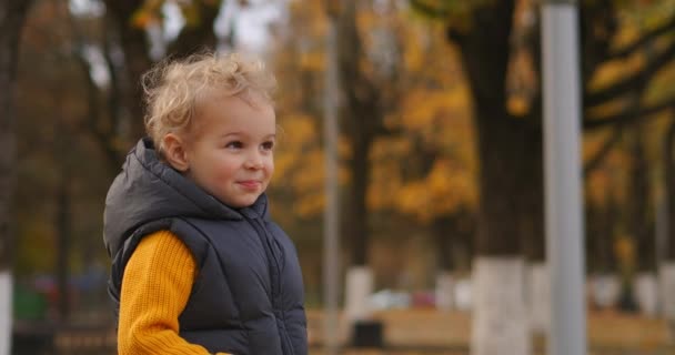 Malé dítě s blond kudrnaté vlasy v podzimním parku oblasti, střední portrét legrační usmívající se chlapec — Stock video