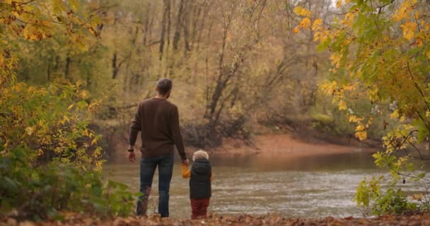 Harmonie der Natur und Einheit mit dem Menschen, Vater und kleiner Sohn beobachten Wildtiere des Sees, fliegende Vögel, Rücksicht auf Menschen — Stockvideo