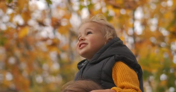 Милый ребенок играет с желтыми листьями на дереве сидя на плечах родителей, радуясь и ликуя — стоковое видео