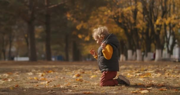 Małe dziecko bawi się w parku w słoneczny jesienny dzień, maluch siedzi na ziemi i uśmiecha się, szczęśliwe dzieciństwo — Wideo stockowe