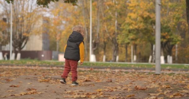 Szczęśliwy chłopiec w jesiennym parku, oglądając przyrodę i radując się spadającymi liśćmi, szczęśliwe dzieciństwo — Wideo stockowe