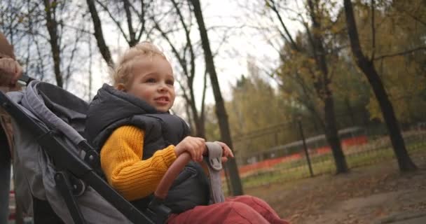 Sevimli küçük çocuk bebek arabasında oturuyor, anne ya da dadı tarafından yuvarlanıyor, aile sonbahar günü parkta yürüyor, doğada dinleniyor. — Stok video
