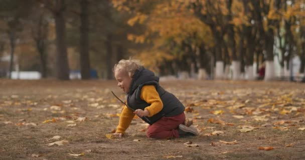 Szczęśliwe dziecko bawi się w przyrodę w parku w jesienny dzień, maluch siedzi na ziemi, spaceruje w weekend — Wideo stockowe