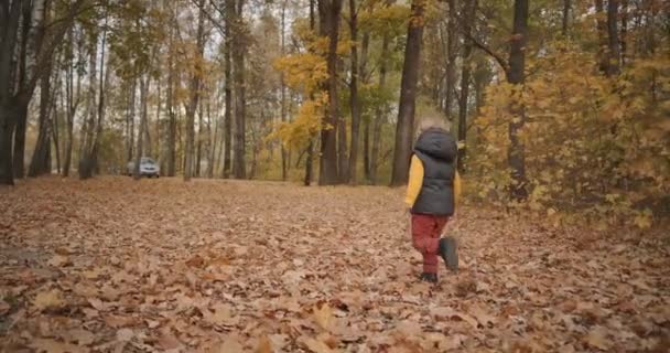 Menino está correndo na floresta, movendo-se sobre folhagem seca no chão, tempo feliz no fim de semana na natureza — Vídeo de Stock