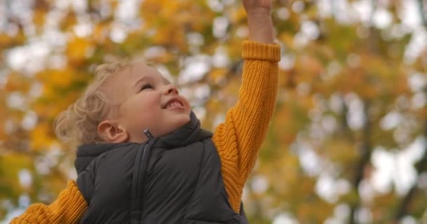 행복 한 어린 아이가 가을에 나무에 있는 노란 나뭇잎으로 손을 뻗어 웃고 미소짓고, 클로즈업 — 비디오