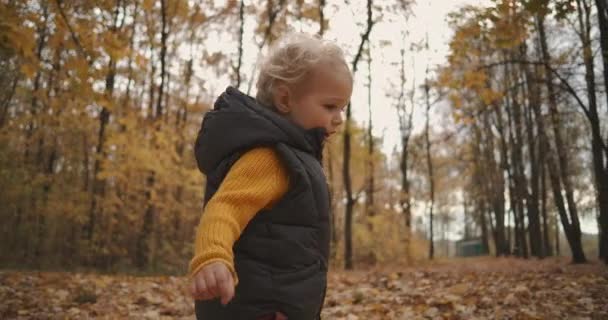 Çekici çocuk sonbahar ormanlarında yürüyor, kuru yaprakların üzerinde koşuyor ve eğlenceli, resimli doğa — Stok video
