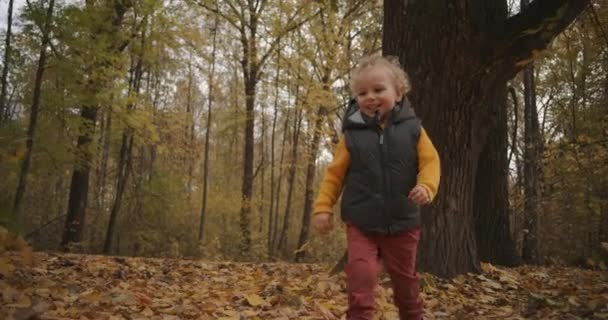 Feliz infancia y diversión en la naturaleza, niño pequeño está corriendo en el bosque en el día de otoño, pisando el follaje seco en el suelo — Vídeo de stock