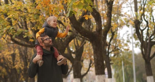 Filho feliz e pai estão andando na floresta no outono, o bebê está sentado nos ombros do pai e vendo folhas de árvore — Vídeo de Stock