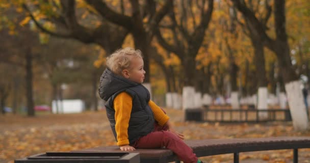 Criança pequena bonito no parque de outono, menino está sentado no banco sozinho, andando no início da temporada de outono — Vídeo de Stock