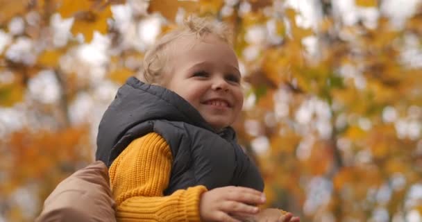 Criança feliz está sentada nos ombros dos pais no passeio no parque no outono, close-up retrato de pequeno menino sorridente — Vídeo de Stock