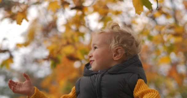 Infância feliz, menino e natureza no dia de outono, criança está esticando a mão para galho de árvore com folhagem amarela — Vídeo de Stock