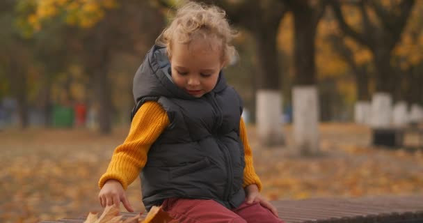 Encantadora criança de cabelos claros está brincando com folhas amarelas secas no parque no dia de outono, sentado no banco — Vídeo de Stock